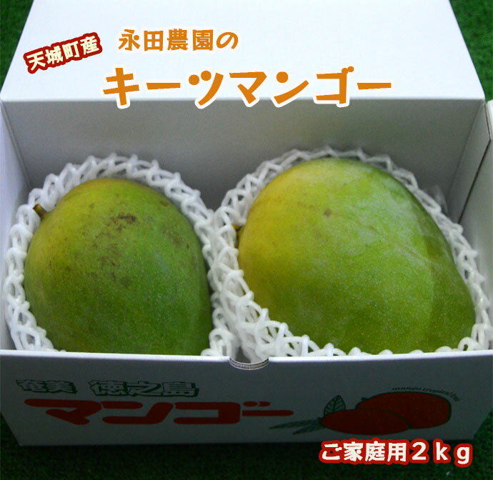 【ふるさと納税】【2025年発送】徳之島 天城町産 永田農園 キーツマンゴー 2kg 緑のマンゴー 2玉入りのサムネイル