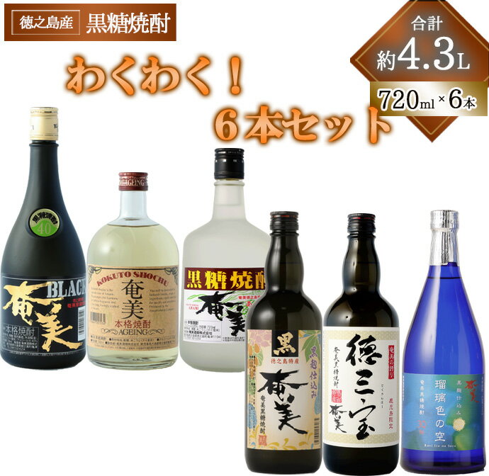 黒糖焼酎 徳之島 奄美酒類 本格 黒糖焼酎 わくわく 6本セット 720ml×6本 バラエティ 焼酎 お酒 アルコール 黒糖 米麹 鹿児島県 国産 送料無料