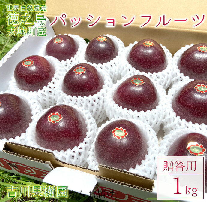 【ふるさと納税】徳之島 天城町 吉川果樹園 パッションフルーツ 贈答用 1kg トロピカルフルーツ フルーツ パッション 送料無料のサムネイル
