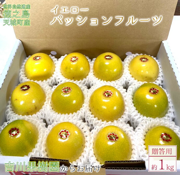 57位! 口コミ数「0件」評価「0」徳之島 天城町 吉川果樹園 贈答用 イエローパッションフルーツ 約1kg パッションフルーツ 送料無料 AB-35-N