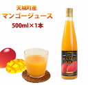 4位! 口コミ数「0件」評価「0」徳之島 天城町 完熟果汁 徳之島産 宝果樹園のマンゴージュース 500ml×1本 果実 くだもの マンゴー フルーツ ジュース 果汁飲料 ビ･･･ 