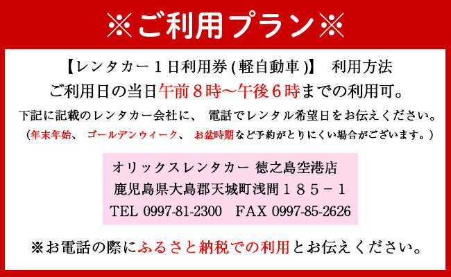 【ふるさと納税】鹿児島県 徳之島 天城町 レンタカー 1日利用券 軽自動車 ビジネス 旅行 チケットその2