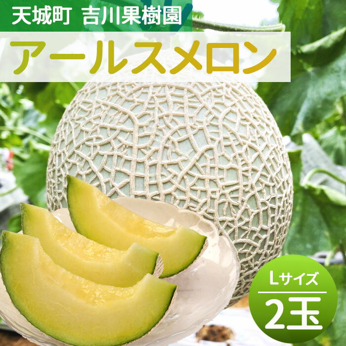 【ふるさと納税】【鹿児島県天城町】吉川果樹園からお届け 徳之島 天城町産 アールスメロン メロン マスクメロン Lサイズ 2玉 先行受付 12月発送 送料無料 AB-25-Nのサムネイル