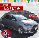 【ふるさと納税】鹿児島県 徳之島 天城町 レンタカー 1泊 利用券 普通自動車 5人乗り ビジネス 旅行 チケット