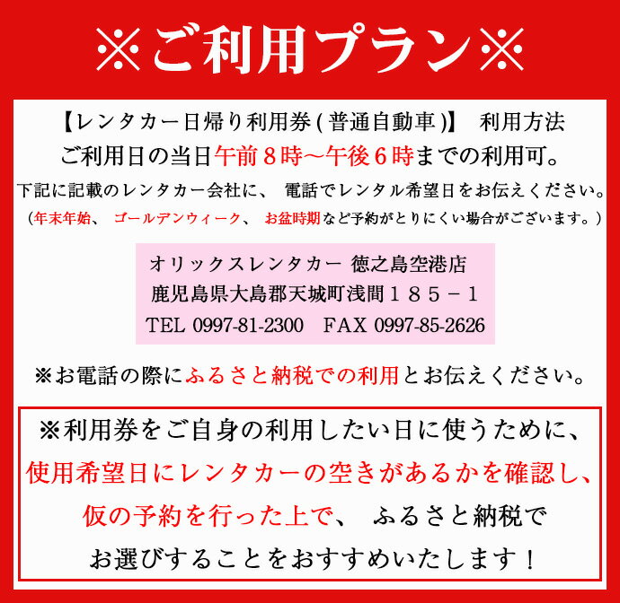 【ふるさと納税】鹿児島県 徳之島 天城町 レンタカー 日帰り利用券 普通自動車 8人乗り ビジネス 旅行 チケットその2