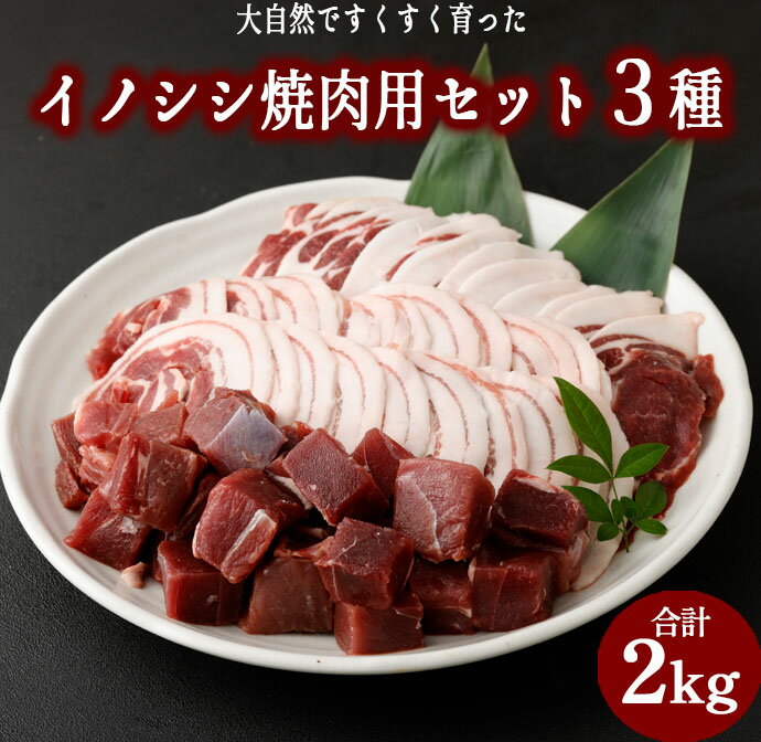 イノシシ焼肉用セット 合計2kg 3種 ( ローススライス バラスライス モモ サイコロカット ) ジビエ イノシシ いのしし 肉 猪肉 スライス サイコロカット 焼肉 BBQ 冷凍 天城町産 鹿児島 九州 国産 送料無料