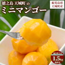 【ふるさと納税】【数量限定】【ご家庭用】徳之島 天城町産 ミニマンゴー 1.5kg マンゴー 果物 くだもの フルーツ 家庭用 冷蔵 天城町産 国産 送料無料 ...