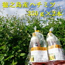 【鹿児島徳之島】立淡雪せんだん草ハチミツ350ml×2本