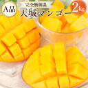 【ふるさと納税】【2025年発送】徳之島 天城町産 完全無加温 完熟 マンゴー A品 2kg 国産 送料無料 フルーツ トロピカル