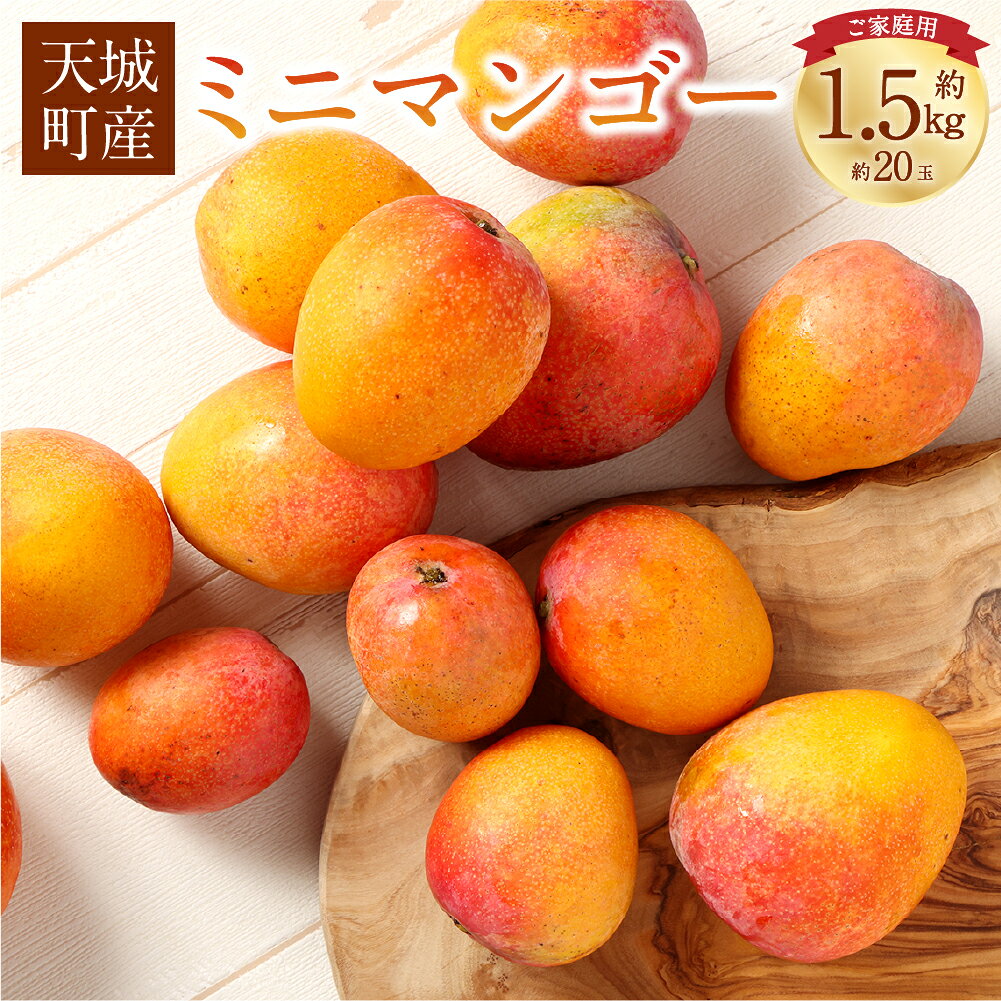 【数量限定】【ご家庭用】徳之島 天城町産 ミニマンゴー 1.5kg マンゴー 果物 くだもの フルーツ 家庭用 冷蔵 天城町産 国産 送料無料
