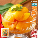 【ふるさと納税】徳之島 天城町産 冷凍マンゴー <選べる> 500g 1kg 2kg 3kg 4kg 5kg カット済み 完熟 マンゴー フルーツ デザート おやつ 冷凍フルーツ 冷凍デザート 南国フルーツ 冷凍 国産 送料無料 P-23-N