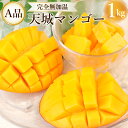 【ふるさと納税】【2025年発送】徳之島 天城町産 完全無加温 完熟 マンゴー A品 1kg 国産 送料無料 フルーツ トロピカル P-28-N