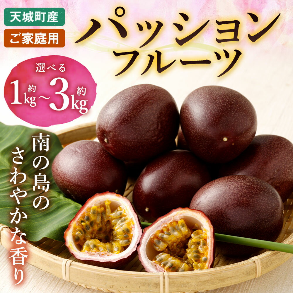 鹿児島県天城町の画像2