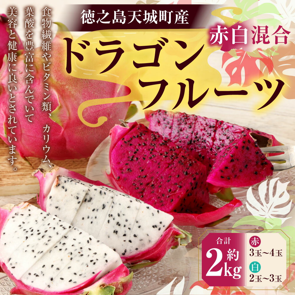 【ふるさと納税】【2026年発送】徳之島 天城町産 ドラゴンフルーツ 赤白混合 約2kg 赤 3～4玉 白 2～3玉 ご家庭用 ピタヤ 南国 フルーツ トロピカルフルーツ 果物 美容 健康 鹿児島県 送料無料 AJ-36-N
