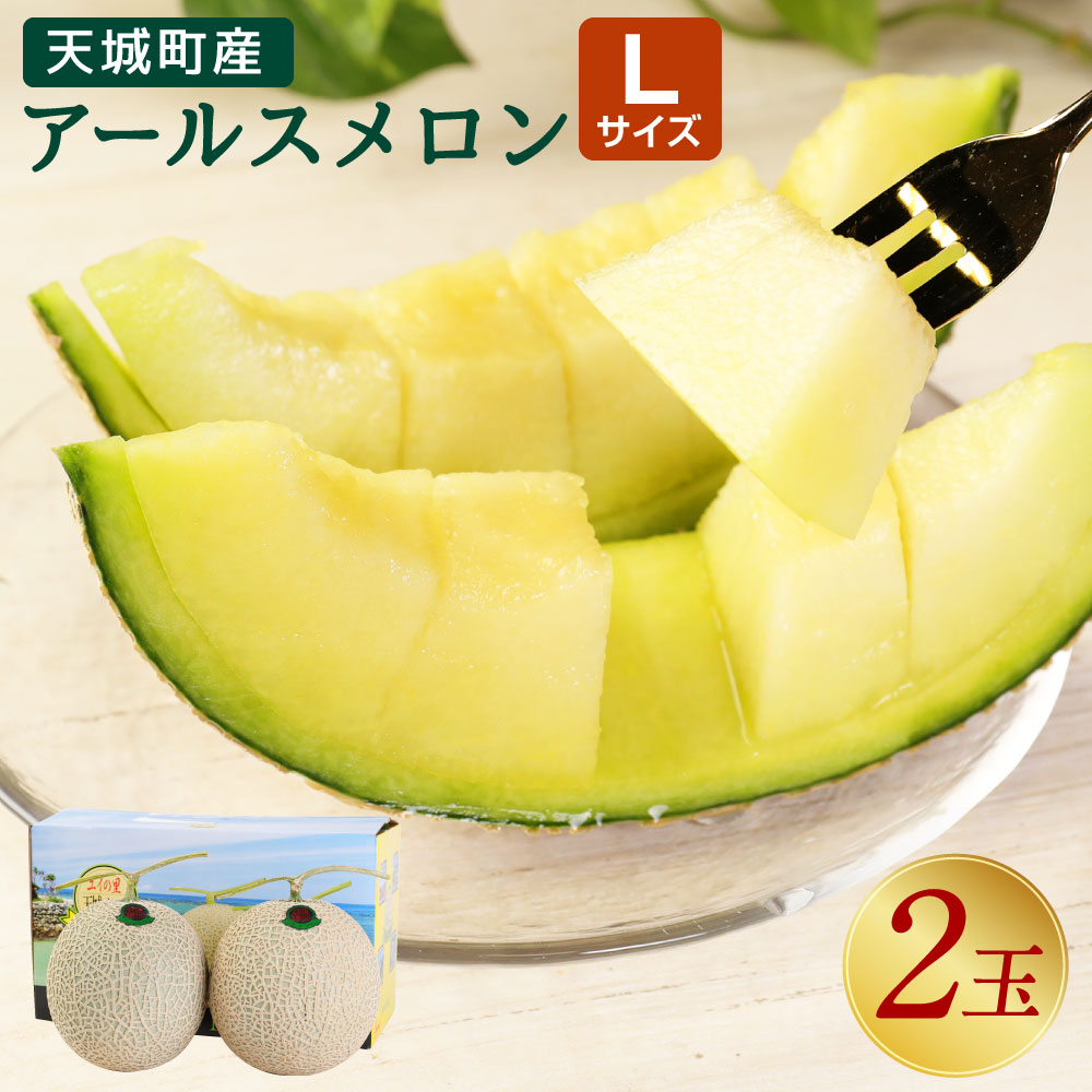 【2024年12月発送】徳之島 天城町産 農家直送 アールスメロン Lサイズ (2玉) 約2.8kg～3.2kg メロン マスクメロン フルーツ 果物 国産 九州産 ファミリーサイズ 送料無料 12月発送 AJ-21-N