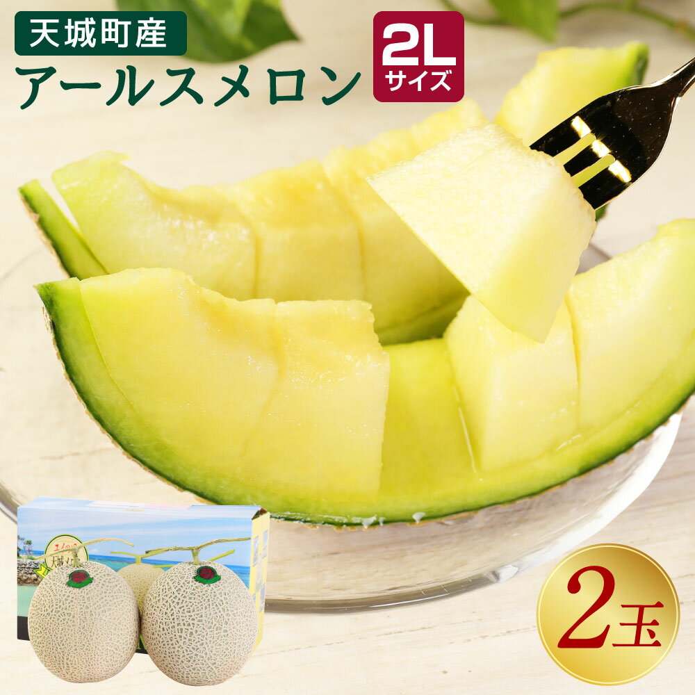 【ふるさと納税】天城町産 アールスメロン 2Lサイズ (2玉) 約3.2kg～3.6kg メロン フルーツ 果物 国産 九州産 ファミリーサイズ 送料無料 12月発送のサムネイル