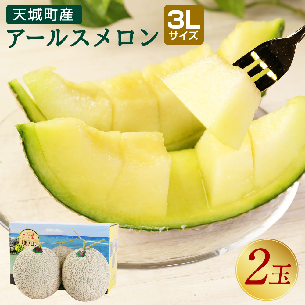 【2024年12月発送】天城町産 アールスメロン 3Lサイズ (2玉) 約3.6kg～4.0kg メロン マスクメロン フルーツ 果物 国産 九州産 ファミリーサイズ 送料無料 12月発送 AJ-26-N