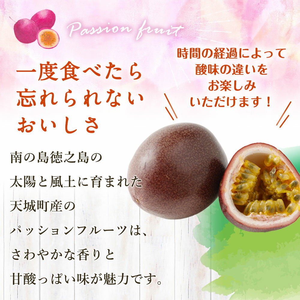 鹿児島県天城町の画像3