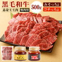 【ふるさと納税】黒毛和牛 赤身 モモ肉 焼肉用 500g＆みそっちょ・コチっちょ セット 焼き肉 BBQ タレ 牛肉 和牛 九州産 国産 冷凍 鹿児島徳之島 送料無料