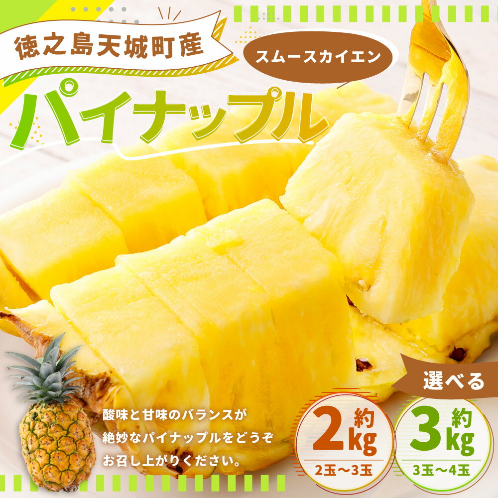 【ふるさと納税】徳之島 天城町産 パイナップル ＜選べる＞ 約2kg 約3kg スムースカイエン パイン フルーツ 南国 果物 くだもの 国産 九州 鹿児島 冷蔵 送料無料