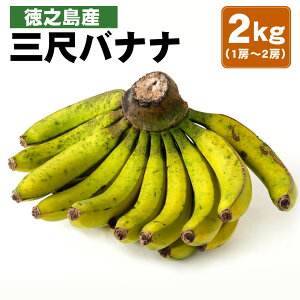 【ふるさと納税】徳之島産 三尺バナナ 2kg （1房から2房）フルーツ 果物 バナナ ばなな 南国フルーツ くだもの 九州産 国産 送料無料