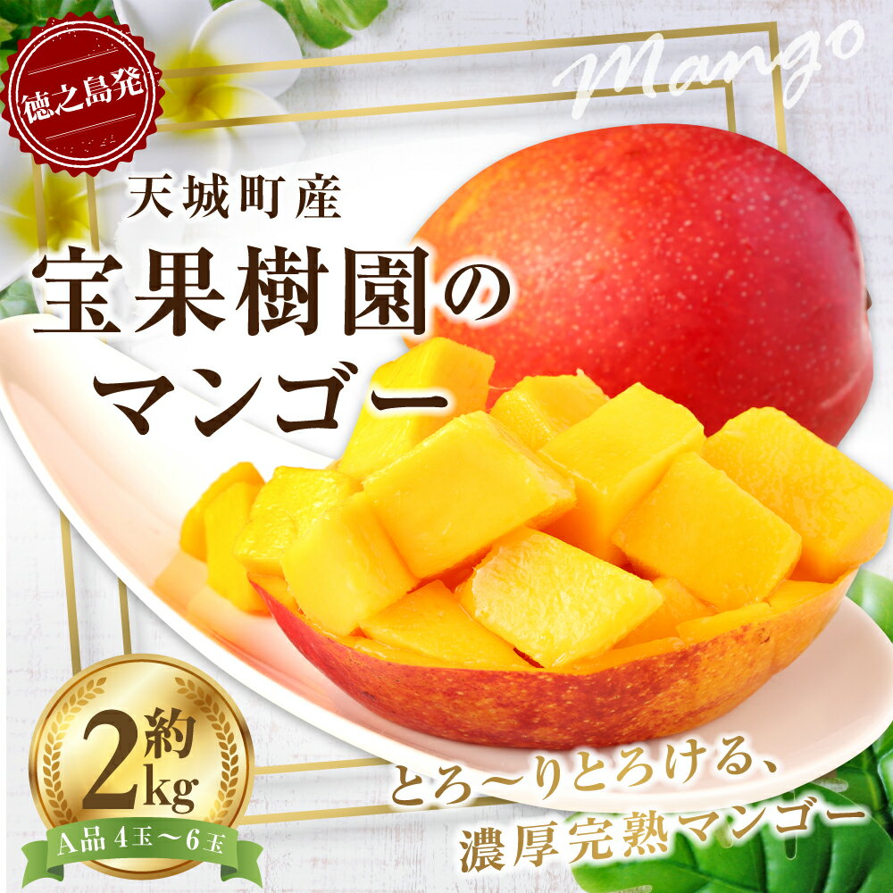【ふるさと納税】【2026年発送】【先行受付】宝果樹園 マンゴー A品 約2kg 4～6玉 贈答用 マンゴー 果物 くだもの フルーツ ギフト 冷蔵 国産 徳之島 天城町産 送料無料