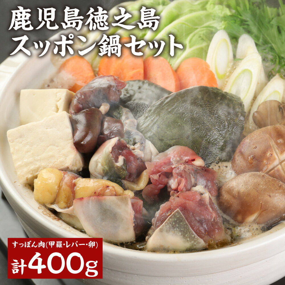 スッポン鍋セット スッポン肉 甲羅 レバー 卵 計400g スッポン生血 珍味 鍋 鍋セット レシピ同封 徳之島 鹿児島県産 九州産 国産 冷凍 送料無料 AW-1-N