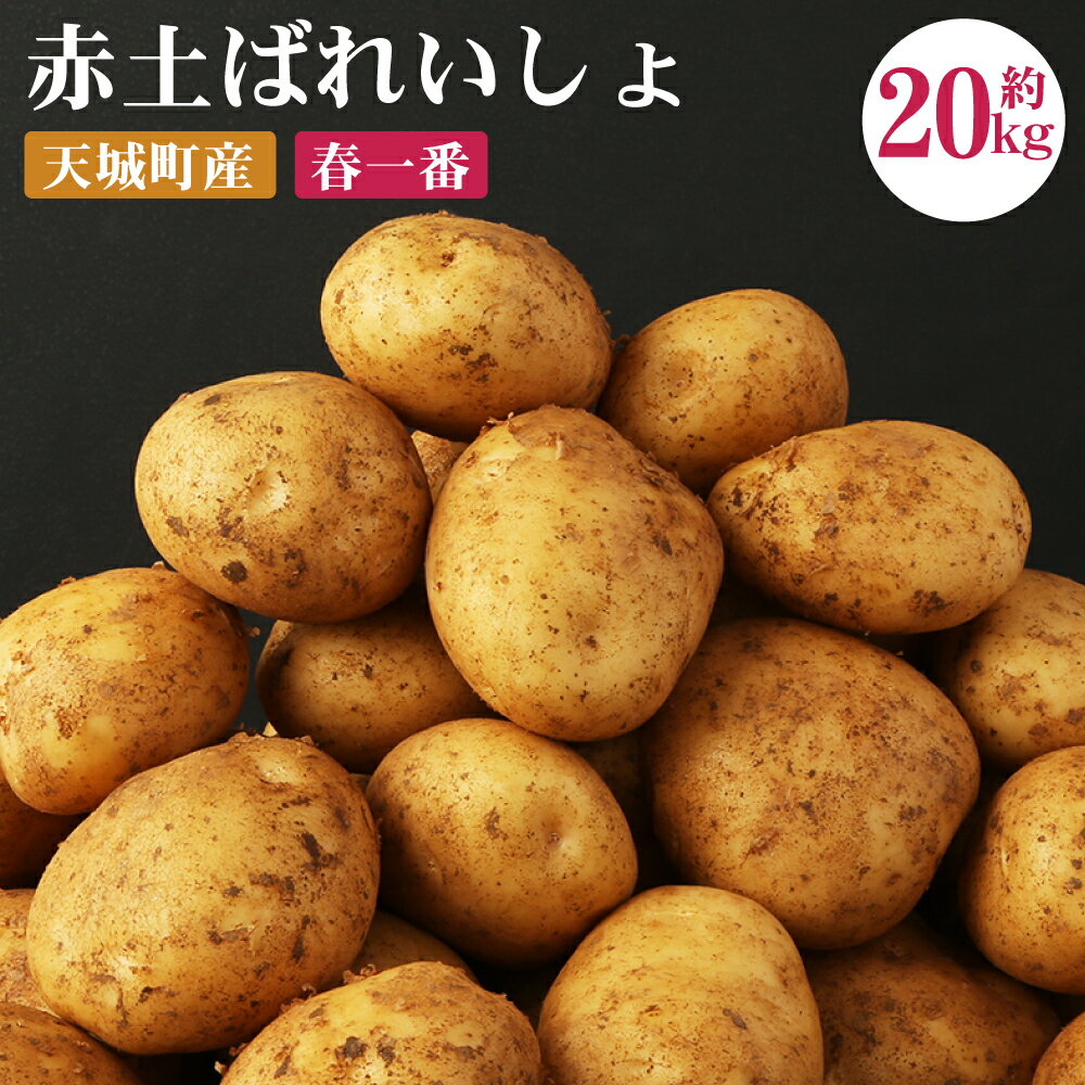 【ふるさと納税】徳之島 天城町産 赤土ばれいしょ 新じゃが【春一番】20kg L~2L 混合サイズ ジャガイモ じゃがいも ばれいしょ バレイショ お手軽 送料無料 国産 野菜 九州産 鹿児島県産 新じゃが 春 F-6-N