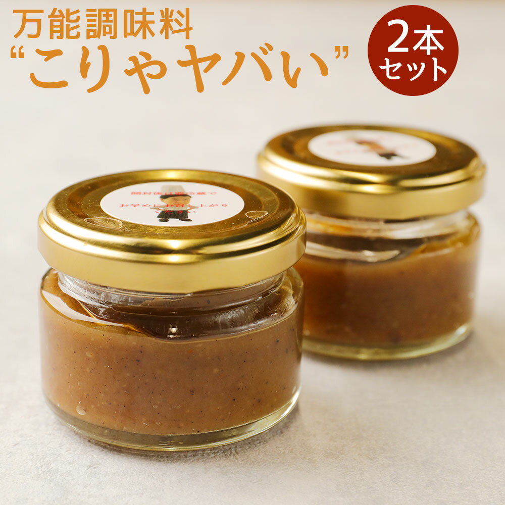 8位! 口コミ数「0件」評価「0」万能調味料 ”こりゃやばい” 55g×2本 セット 調味料 ご当地調味料 ペースト おつまみ そのまま食べられる 送料無料 BK-1-N