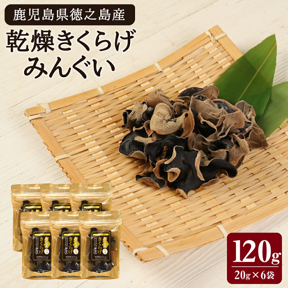 【ふるさと納税】徳之島産 乾燥きくらげ （みんぐい） 合計120g（20g×6袋）キクラゲ 木耳 きのこ キノコ 干し 天日干し 乾物 鹿児島県産 九州 国産 送料無料 H-1-N