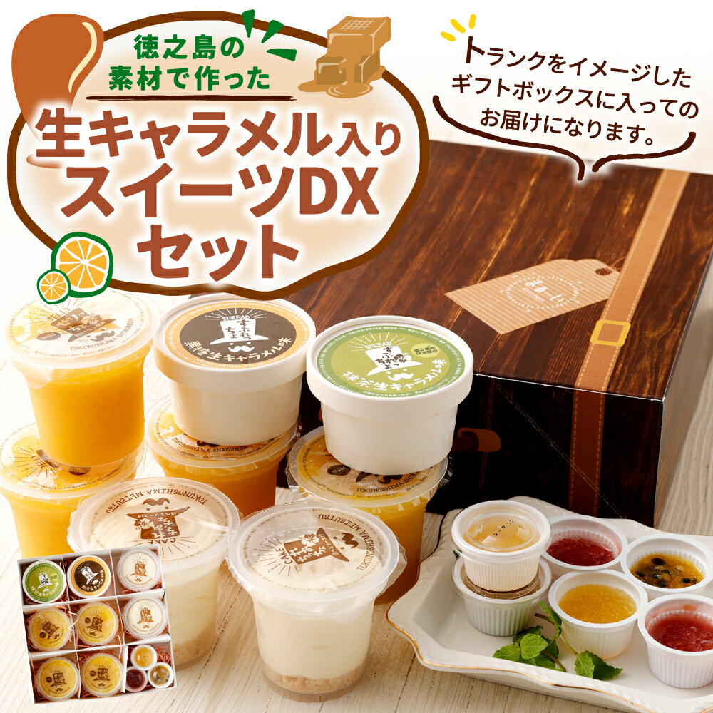 【ふるさと納税】徳之島の素材で作った 生キャラメル入り スイーツDXセット ぜりっちょ 120g×4個 すぷれっちょ 50g×2個 れあちっちょ 70g×2個 れあちっちょソース 14ml 3種×各2個 シークニン ゼリー 詰め合わせ デザート 国産 九州産 W-11-N 楽天スーパー SALE 9月開催