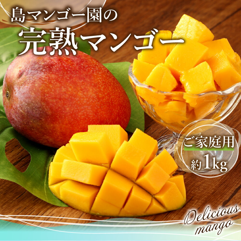 【ふるさと納税】【2026年発送】【先行受付】 徳之島 天城町【ご家庭用】 天城町産 島マンゴー園 完熟マンゴー 約1kg 2～3玉 マンゴー 果物 くだもの フルーツ 家庭用 冷蔵 天城町産 国産 送料無料 BA-3-N