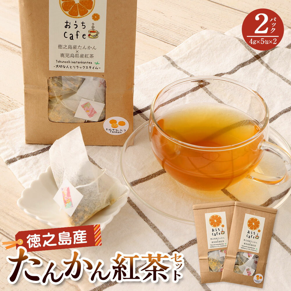 たんかん 紅茶 2パック セット 5包×2 ティーバッグ タンカン お茶 茶 国産 鹿児島県 天城町 徳之島産 送料無料 C-14-N