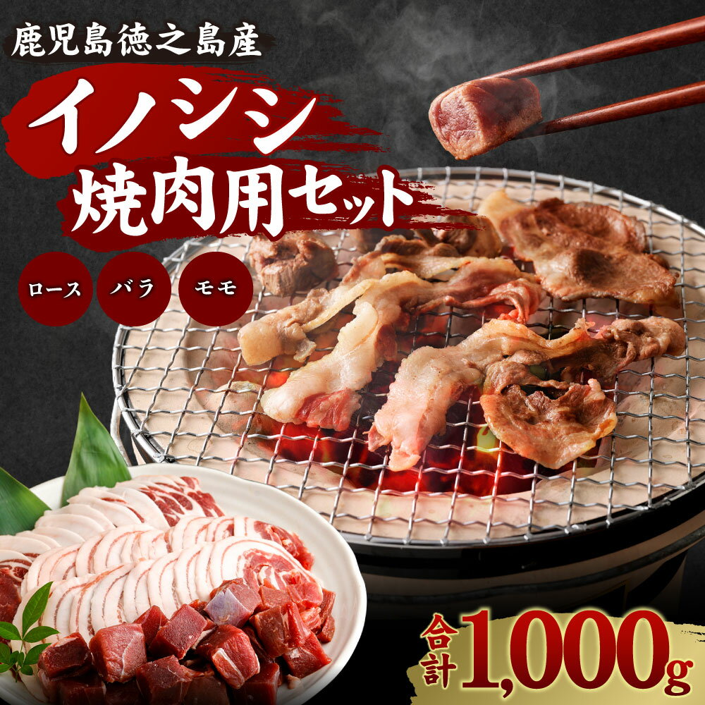 【ふるさと納税】イノシシ焼肉用セット 合計1kg 3種 ( ローススライス バラスライス モモ サイコロカット ) ジビエ イノシシ いのしし 肉 猪肉 スライス サイコロカット 焼肉 BBQ 冷凍 天城町産 鹿児島 九州 国産 送料無料 AI-16-N