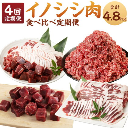 【4回定期便】イノシシ肉 食べ比べ 定期便 計4.8kg ミンチ ロース サイコロ 焼肉 セット ジビエ イノシシ 猪 肉 お肉 BBQ 国産 九州 徳之島 天城町 送料無料