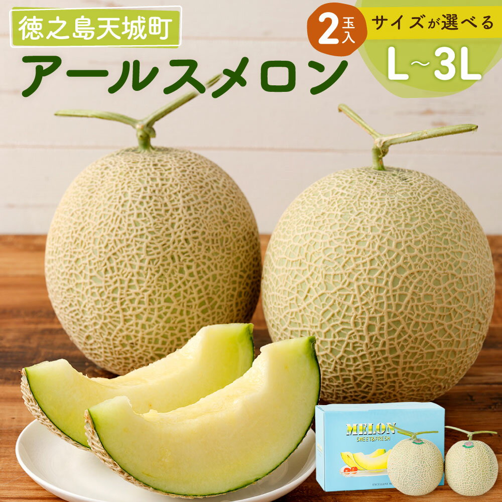 【ふるさと納税】徳之島 天城町 アールスメロン 2玉 ＜サイズが選べる＞ L 2L 3L メロン マスクメロン ..