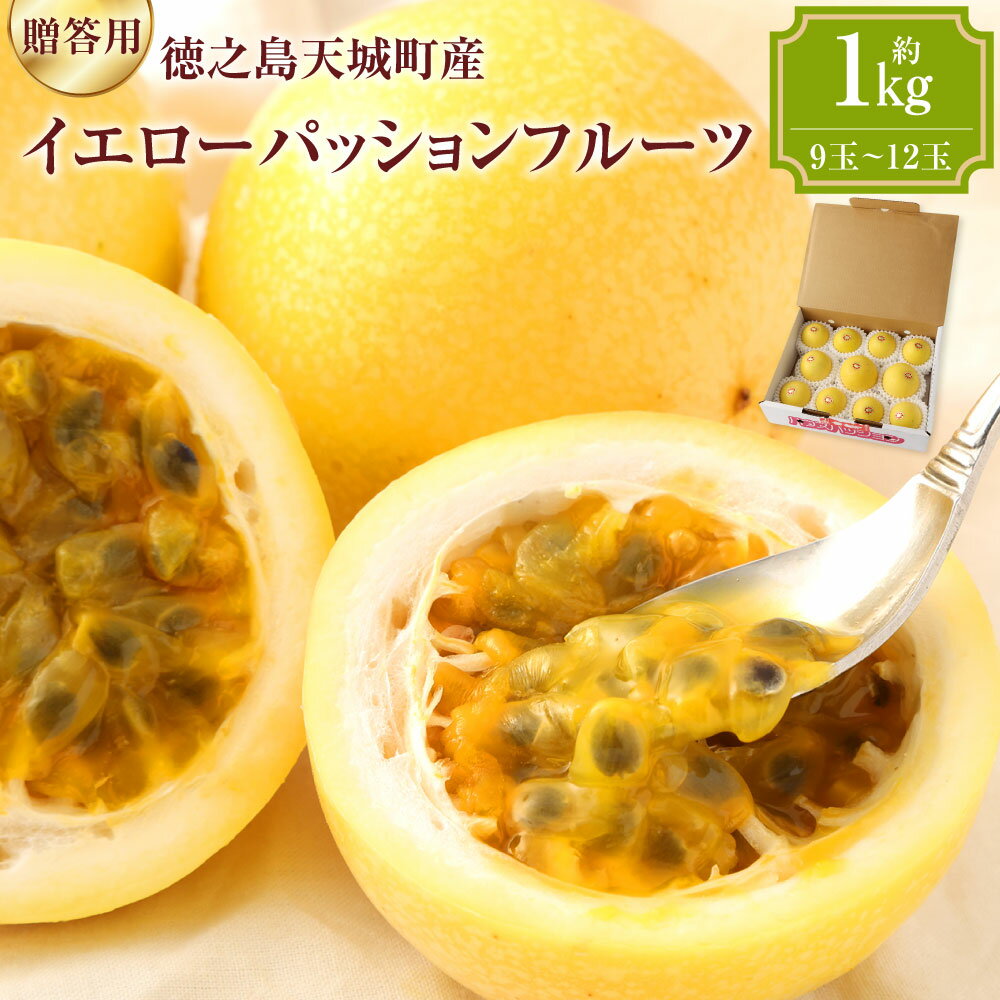【ふるさと納税】【2026年発送】先行受付 徳之島 天城町 イエローパッションフルーツ 贈答用 約1kg トロピカル フルーツ パッション 果物 ギフト 贈答 ...