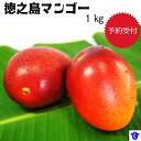 【ふるさと納税】徳之島マンゴー1キログラム