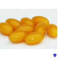 【ふるさと納税】スッポン卵黄にんにく2