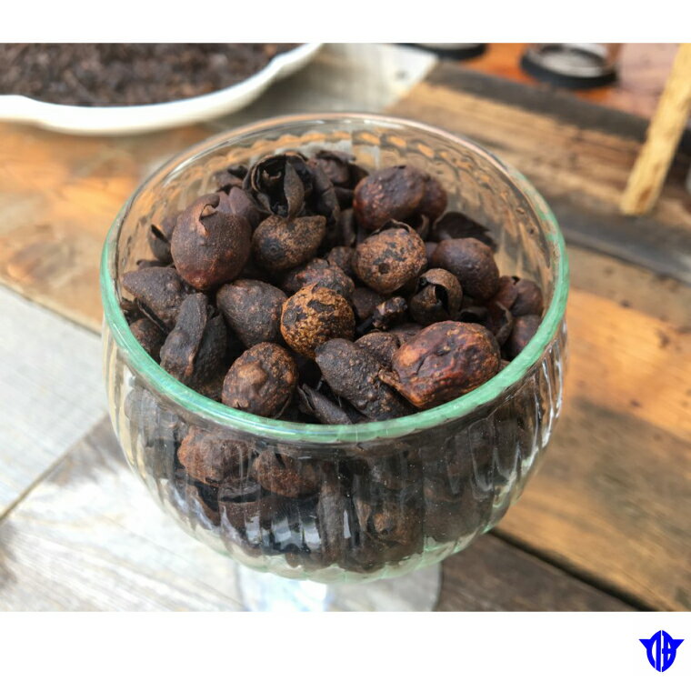 【ふるさと納税】珈琲果実茶が大人気返礼品になっている理由とは　ふるさと納税　人気　返礼品　ランキング