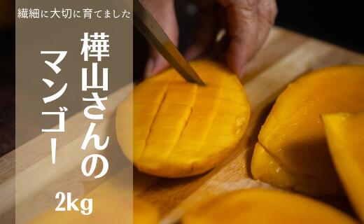 【ふるさと納税】【2026年7月中旬より順次発送】完熟マンゴー約2kg(4～6個:化粧箱入り)、家庭...