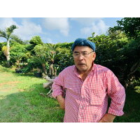 【ふるさと納税】貞さんの島バナナ3kg