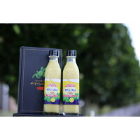 【ふるさと納税】ヤマ・シークニン果汁300ml×2本セット