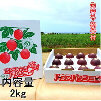 【ふるさと納税】富山農園のパッションフルーツ2kg(化粧箱入り）
