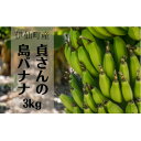 【ふるさと納税】貞さんの島バナナ約3kg【1404057】