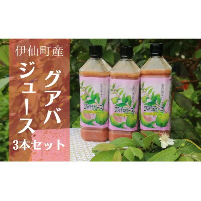 グァバ生ジュース 3本セット[配送不可地域:離島]