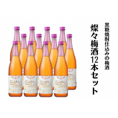 【ふるさと納税】燦々梅酒720ml瓶12本セット【14924