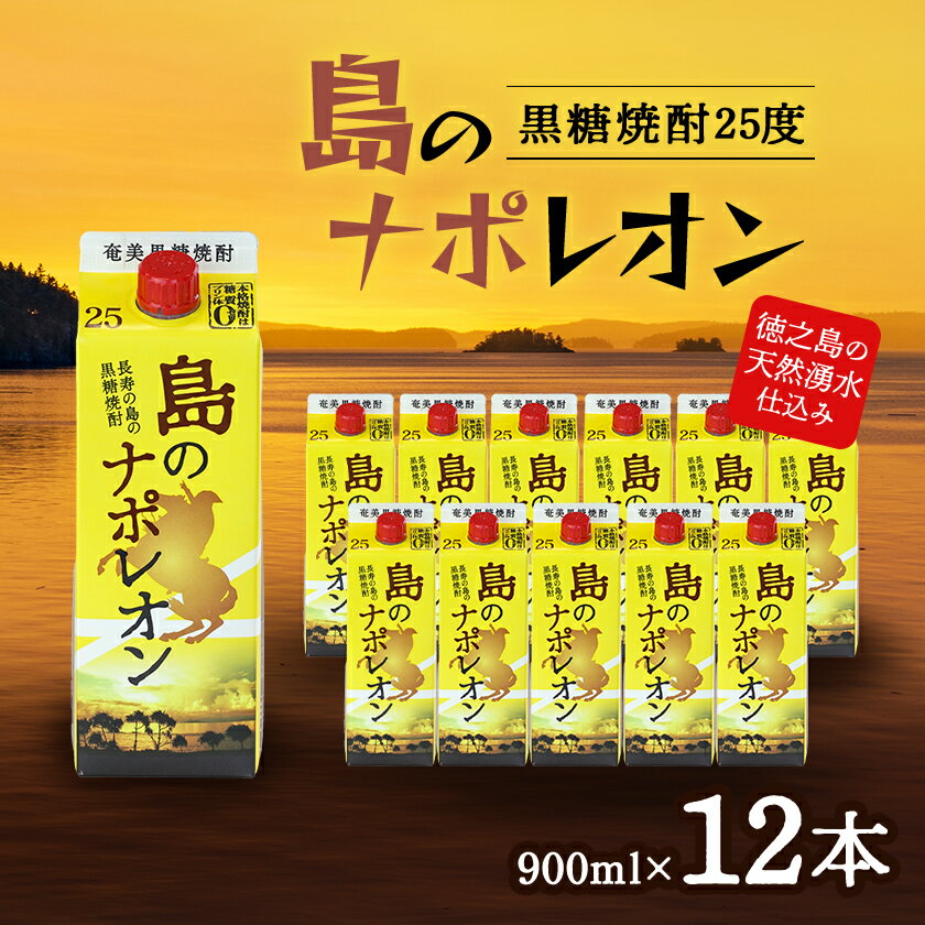 【ふるさと納税】島のナポレオン900ml紙パック12本セット mkmt04【1407070】