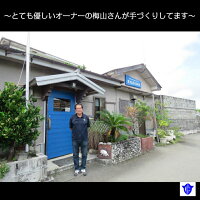 【ふるさと納税】夜光貝印鑑3