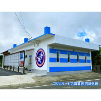 【ふるさと納税】徳之島ダイビング体験(半日)